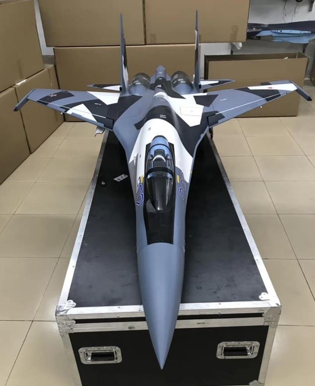 Aggressor [+$395.00 (USD)]